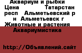 Аквариум и рыбки › Цена ­ 16 000 - Татарстан респ., Альметьевский р-н, Альметьевск г. Животные и растения » Аквариумистика   